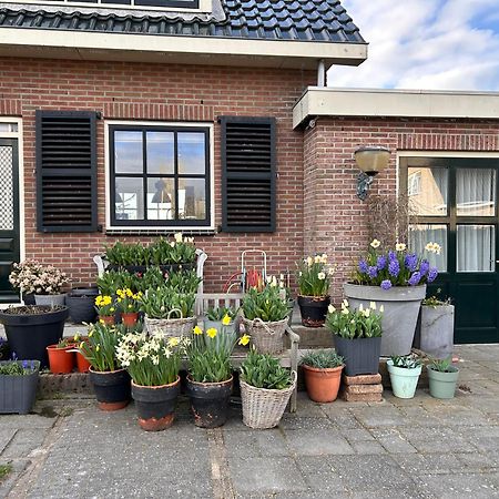 Voorhout Flowerbed المظهر الخارجي الصورة