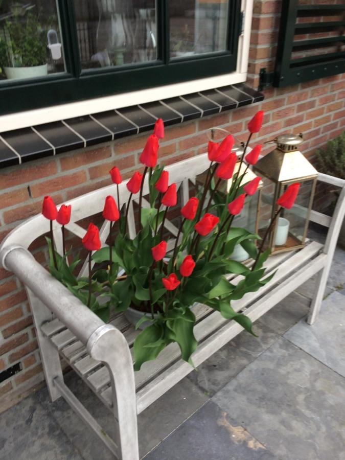 Voorhout Flowerbed المظهر الخارجي الصورة