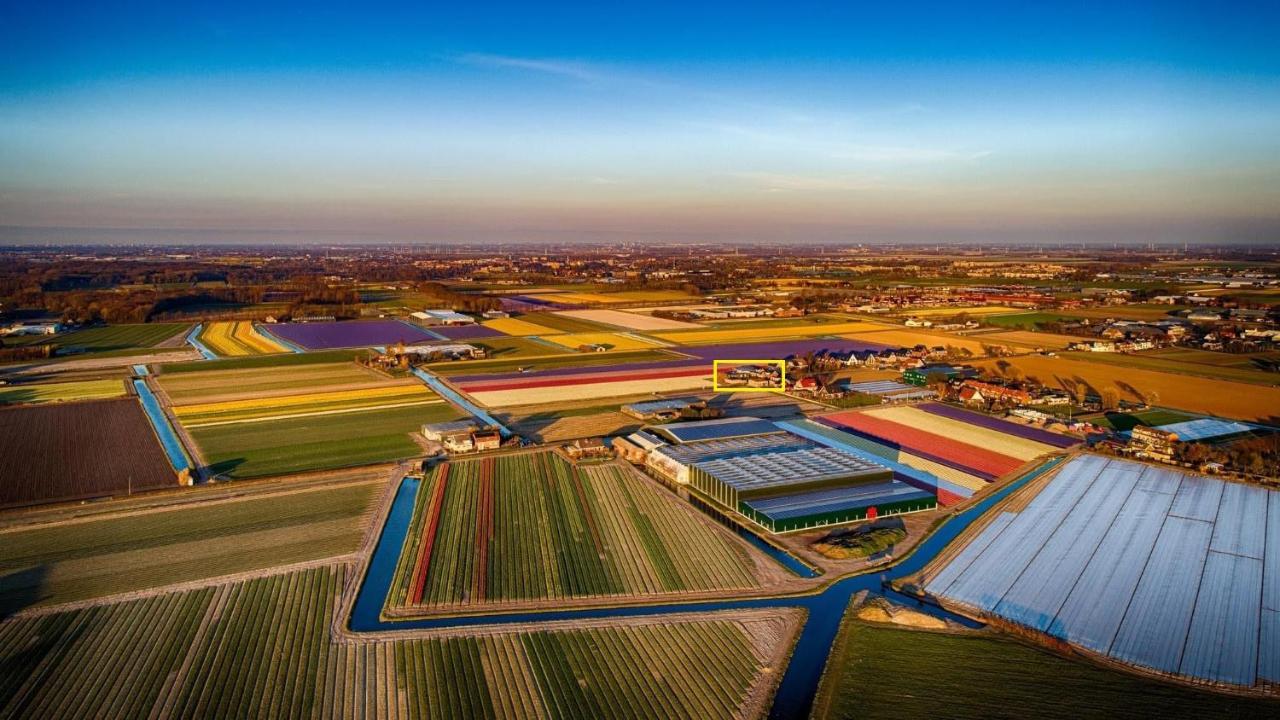 Voorhout Flowerbed المظهر الخارجي الصورة