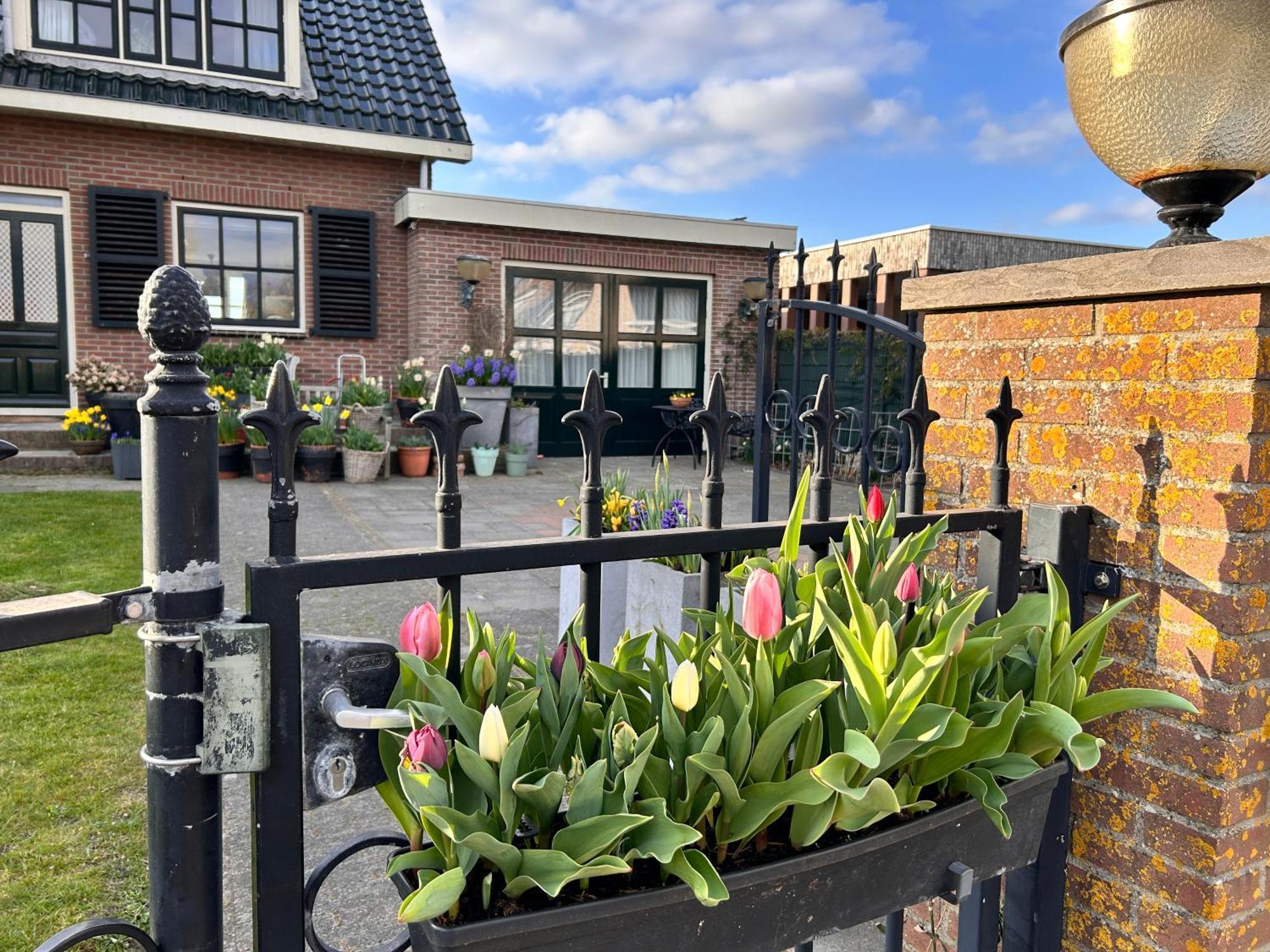 Voorhout Flowerbed المظهر الخارجي الصورة